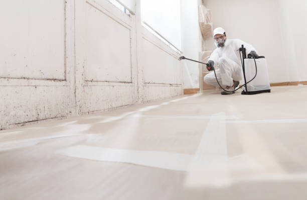 Post-remediation clearance in Princeton